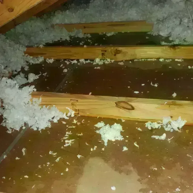 Attic Water Damage in Covington County, MS