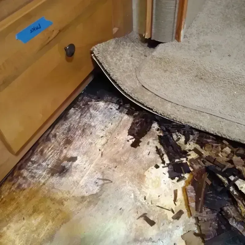 Wood Floor Water Damage in Covington County, MS